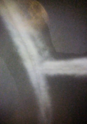 Picture15
